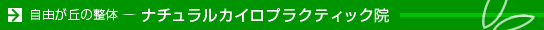 �����s�ڍ��掩�R���u,����,�J�C���v���N�e�B�b�N,O�r����,���Ջ���,���R���u�̐��̃i�`�������J�C���v���N�e�B�b�N�@