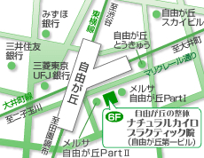 東京都目黒区自由が丘,整体,カイロプラクティック,O脚矯正,骨盤矯正,〒152-0035 東京都目黒区自由が丘1-8-20 自由が丘第一ビル6F,自由が丘の整体ナチュラルカイロプラクティック院